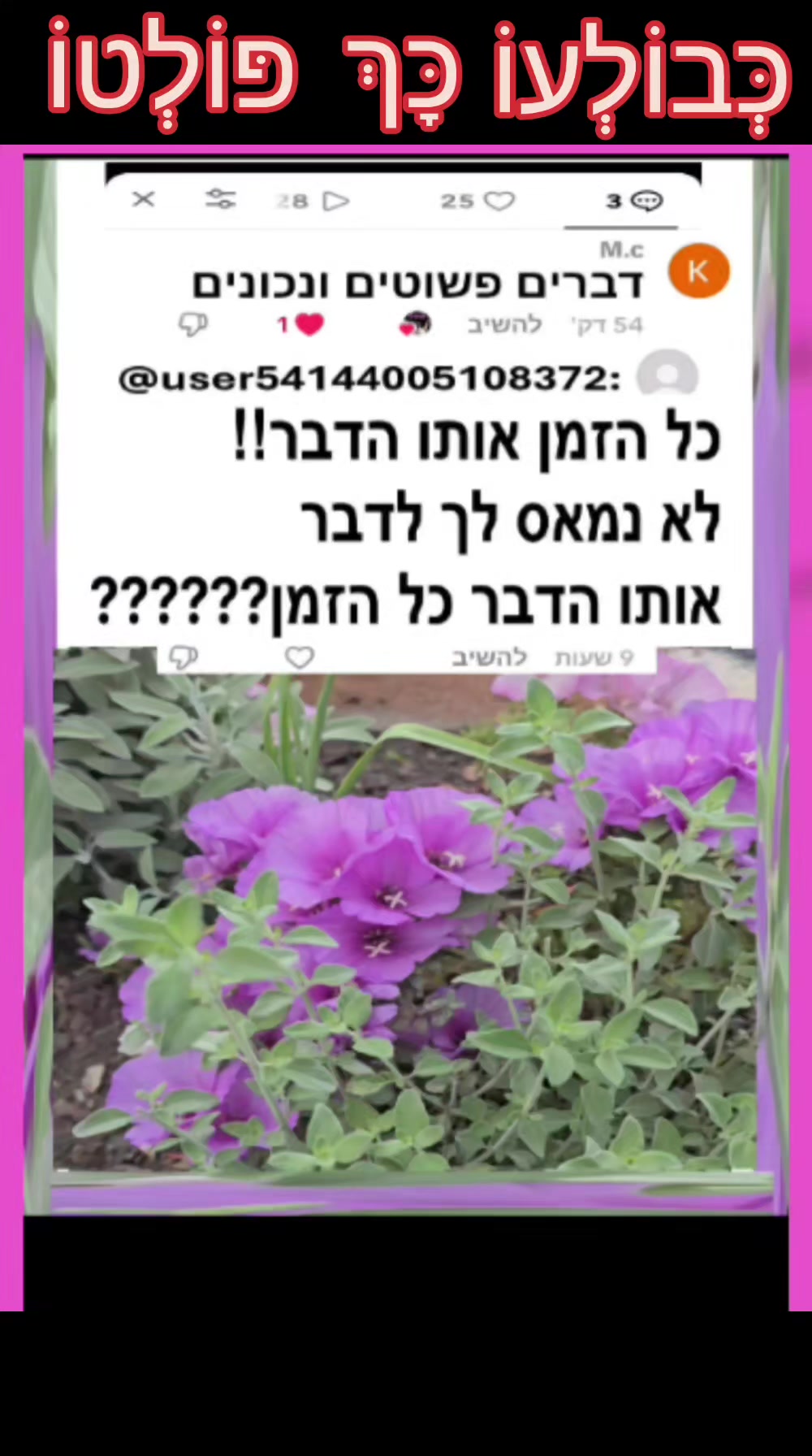 @Omri TegAmlak Avera