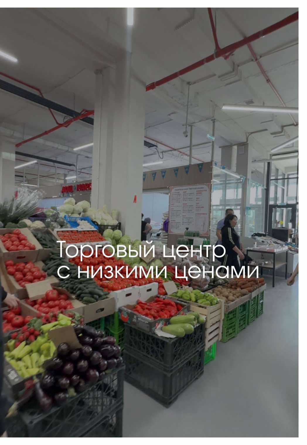 @togzhan_kamzebayeva