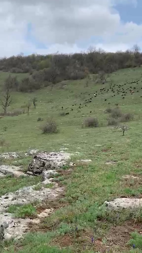 @Ferma dhive xhebexhia 🐐