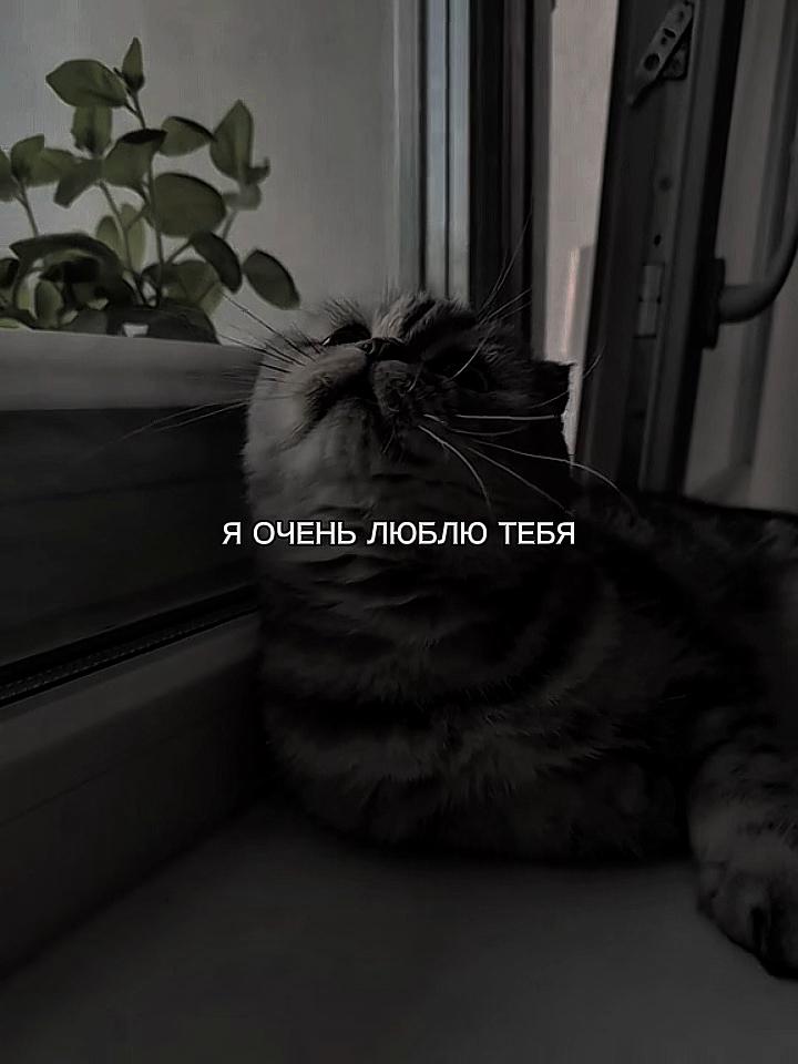 @ХХИКА