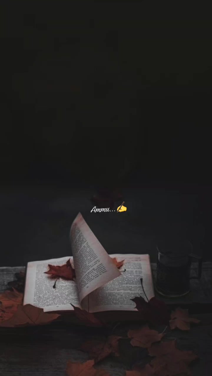 @☆꧁✬◦&deg;˚&deg;◦. 𝓐𝓶𝓶𝓾.◦&deg;˚&deg;◦✬꧂☆