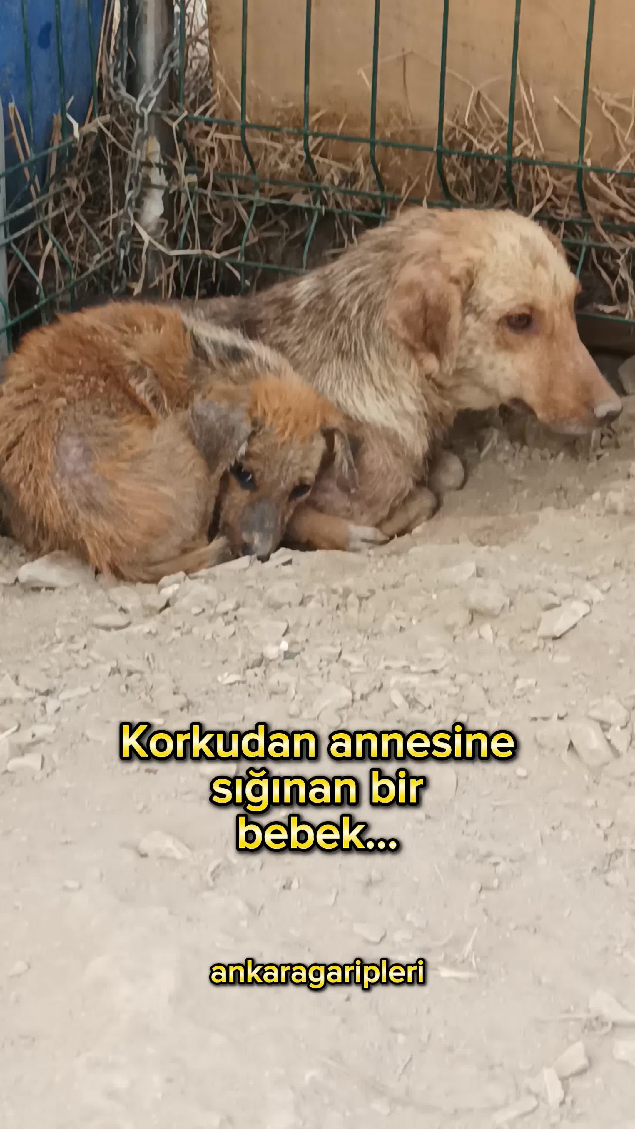 @Asiye