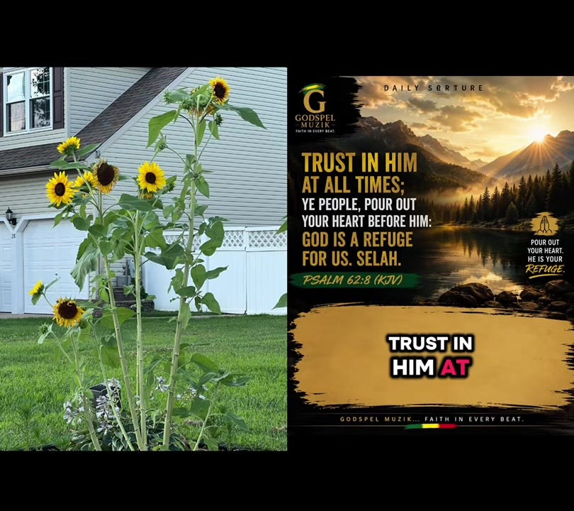 @Rina 🌻 | Sunflower notes