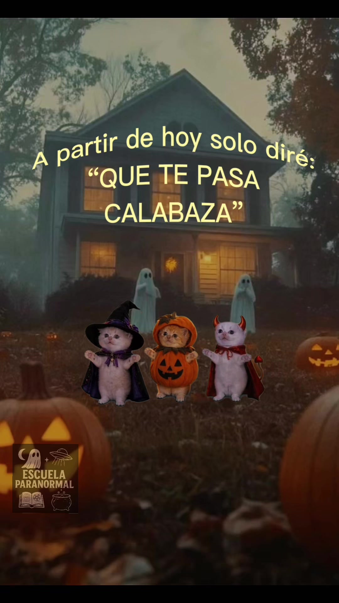 @escuelaparanormal