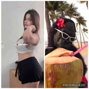@🐒නටන වදුරා🐒