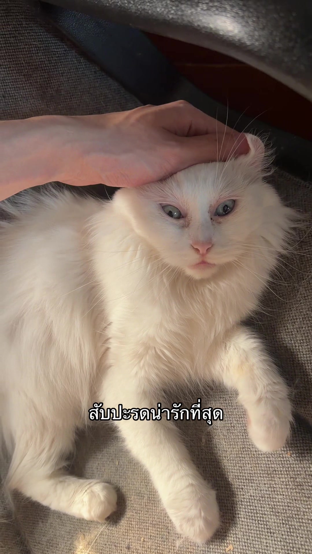 @น้องกล้วยกะป้อกล็อค