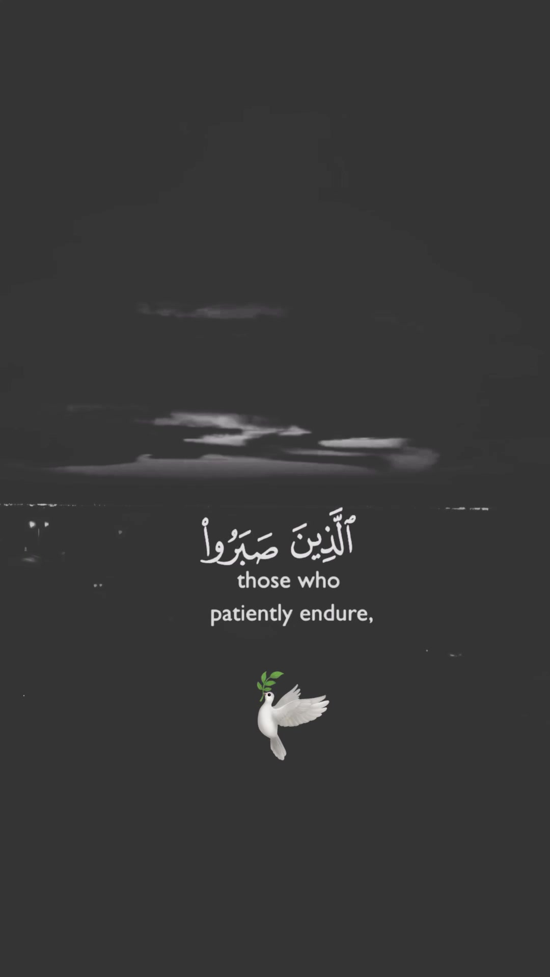 @القرآن الكريم 🕊🎧