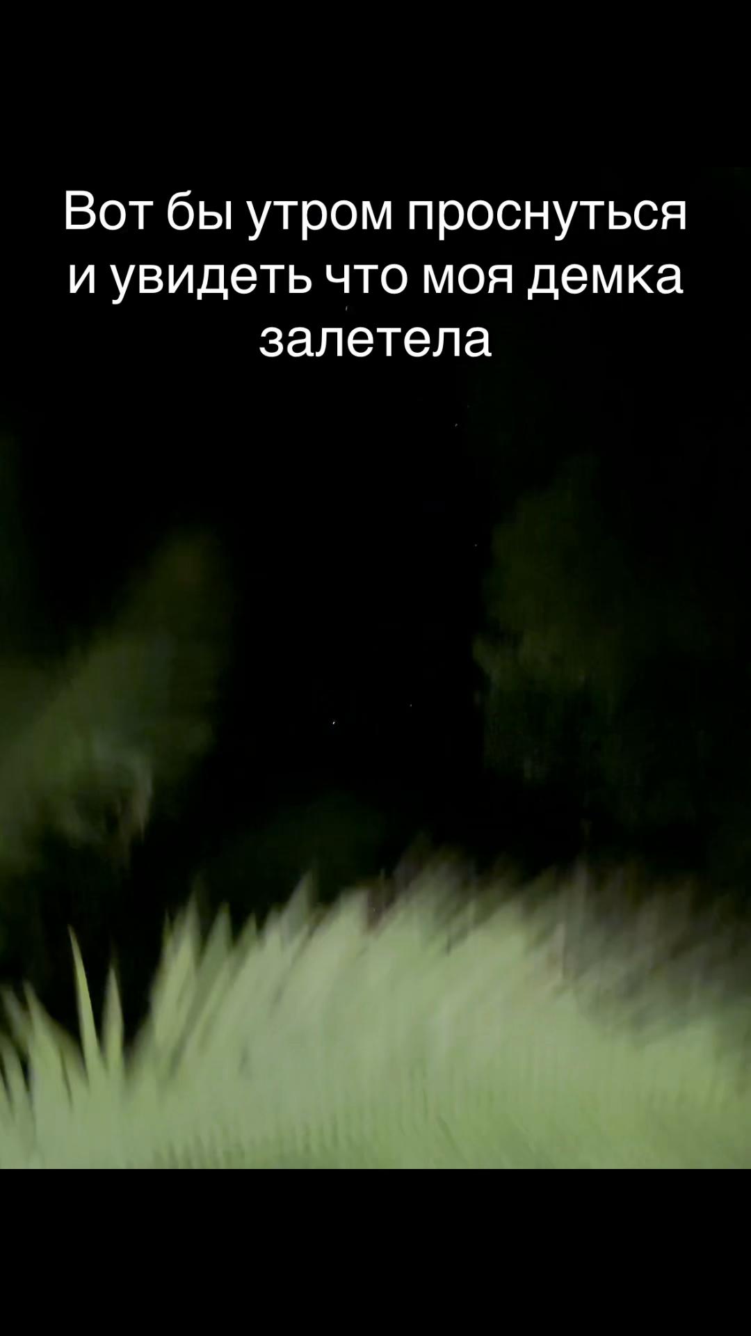 @Киса в колесе