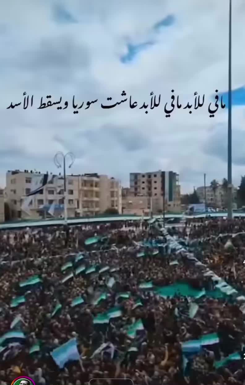 @ranaalnajjar40