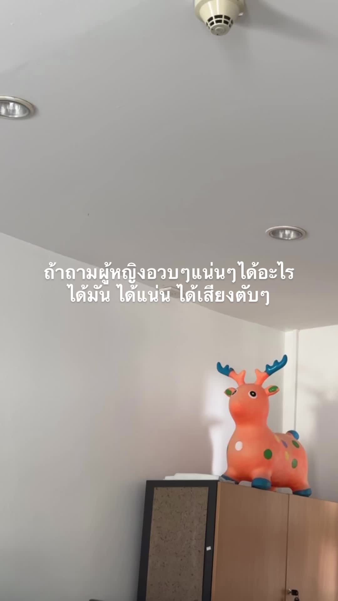 @เปง โบ้