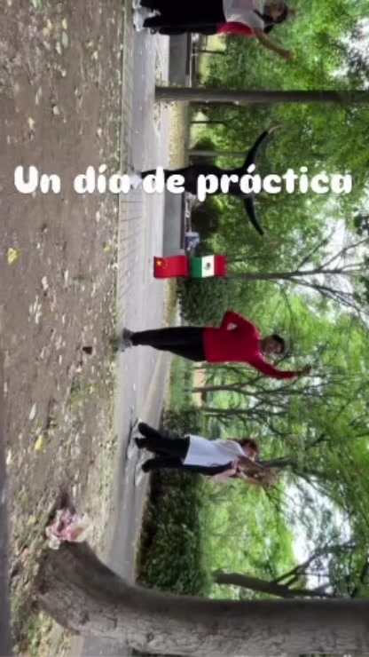 @Arte Esc&eacute;nico Mexico