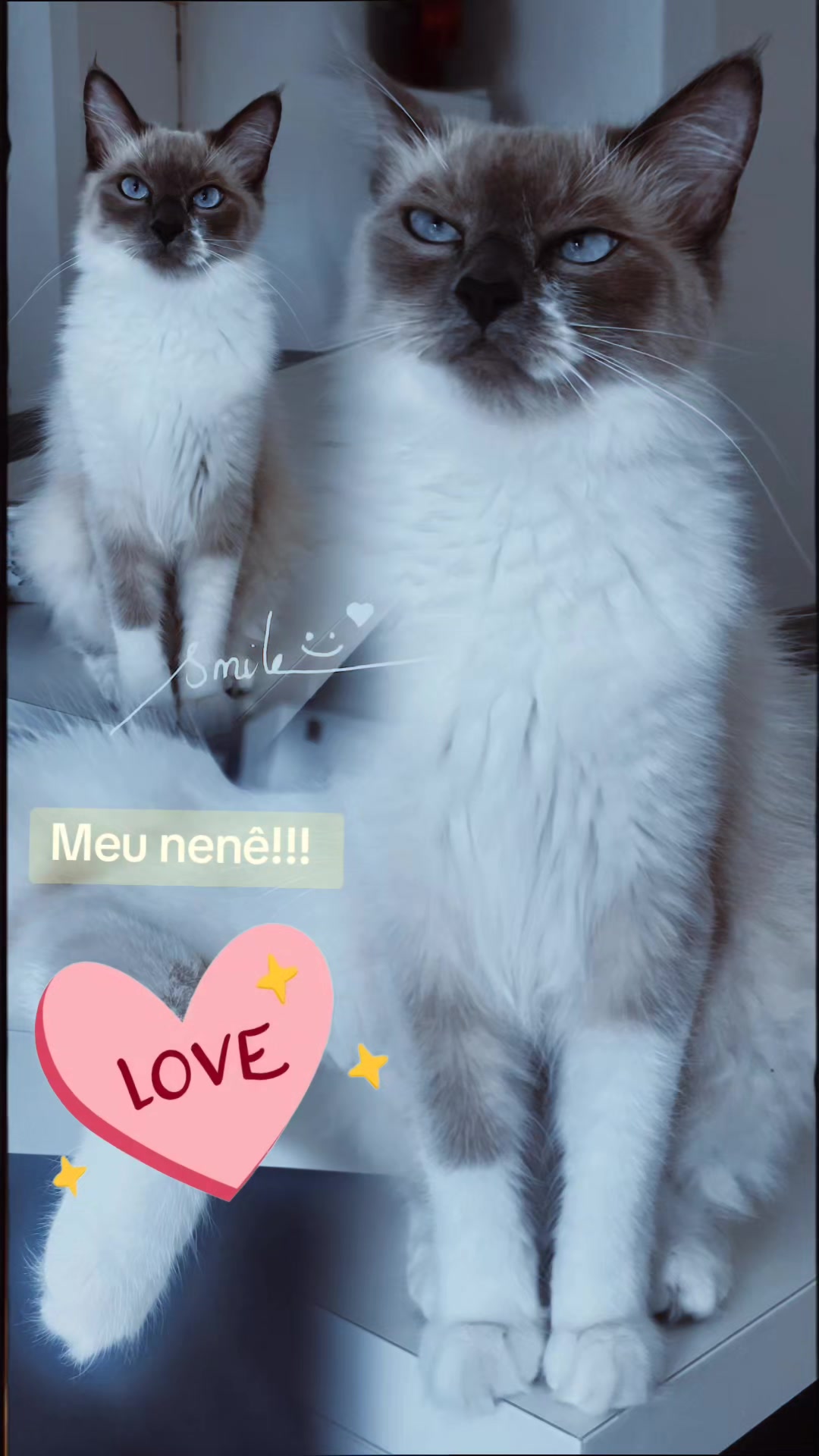@Carla