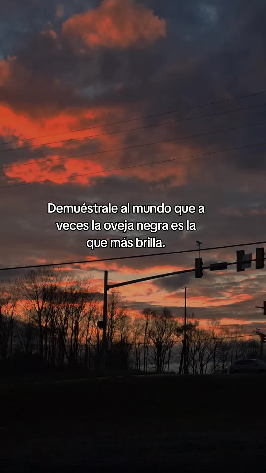 @HEYDI digital