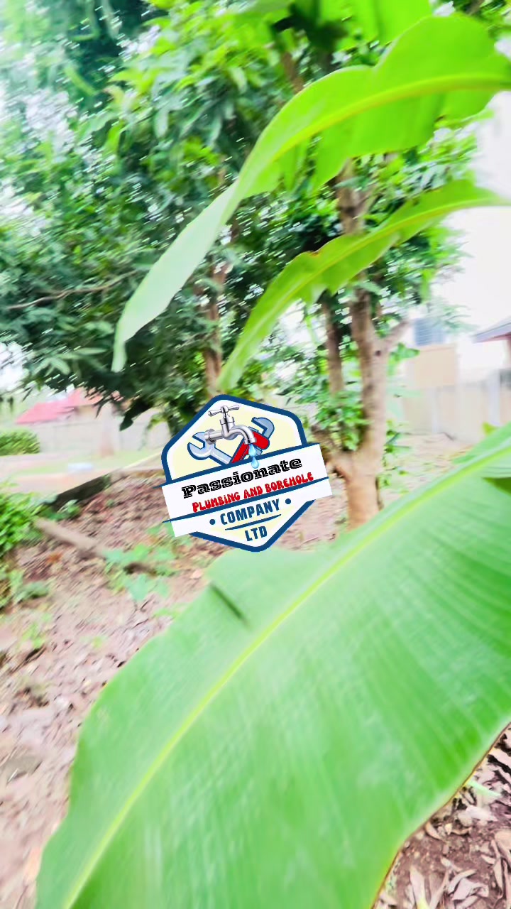 @Passionate plumbing& boreholes