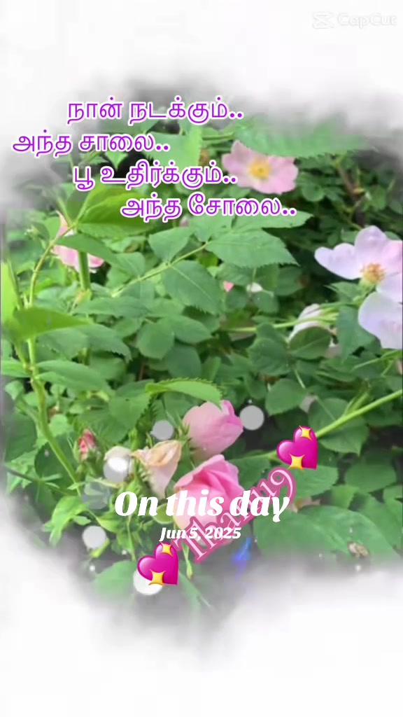 @Thanik
