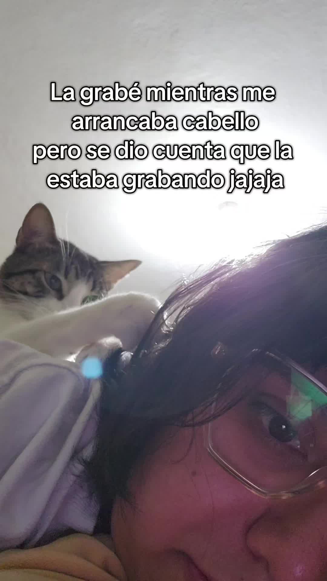 @Winchester D. Ceci