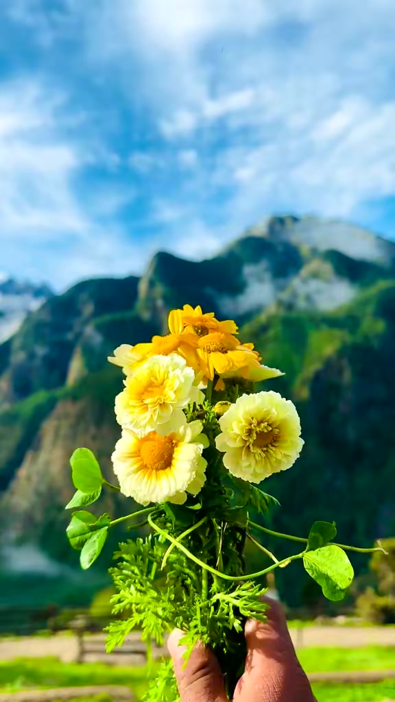 @࿐  གར་སོང་བསམ་འགྲུབ།