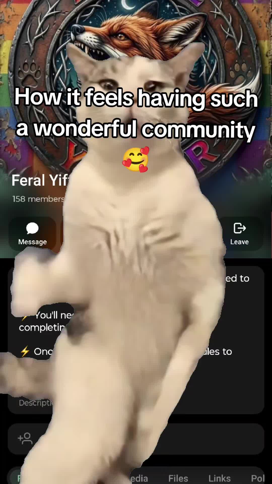 @KookieTheUmbreon