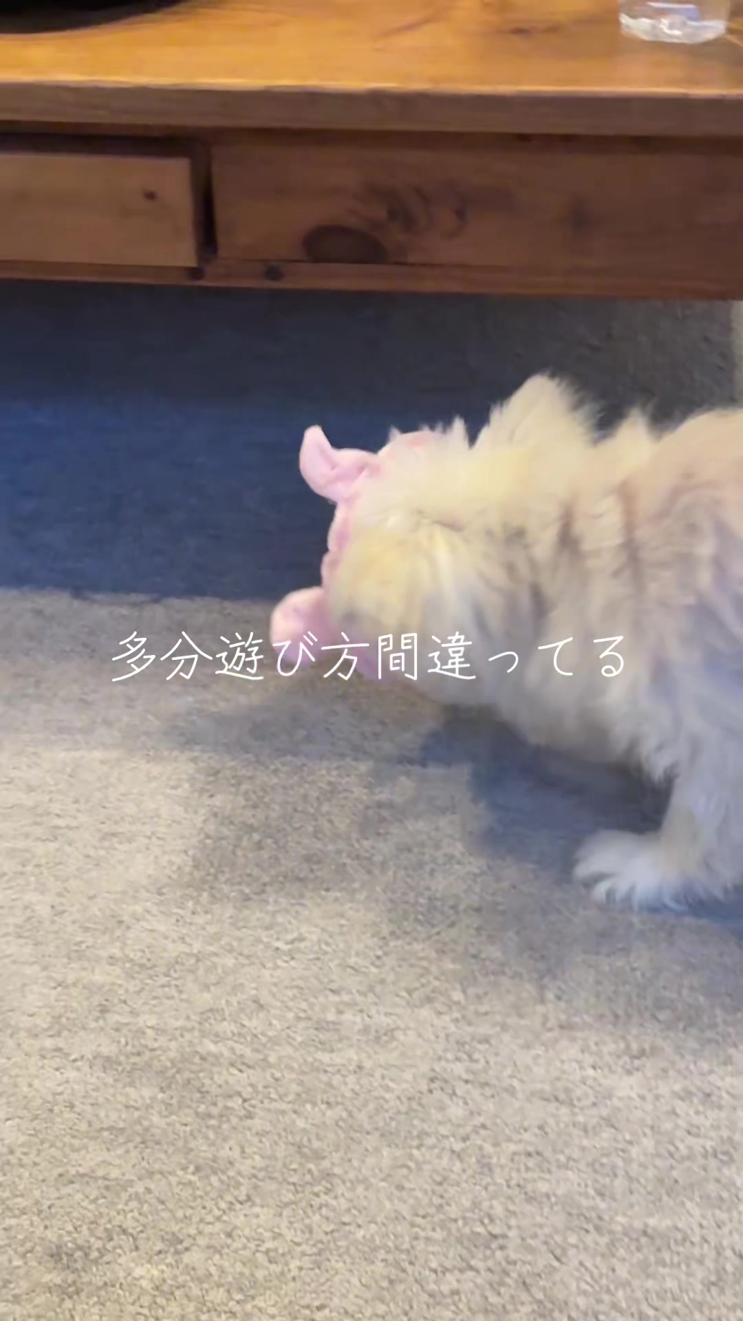 @さまむ〜