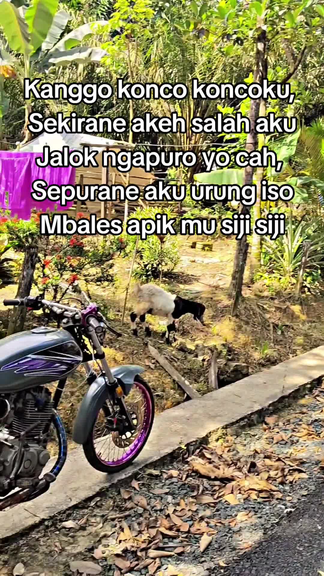 @Mahing04