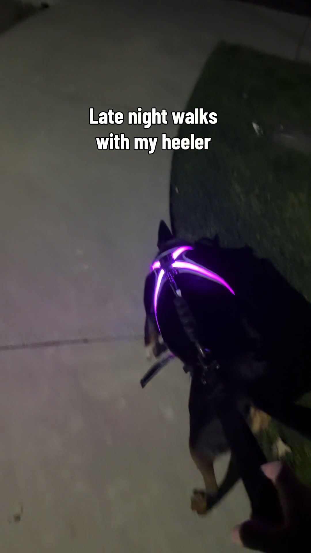 @tokezn