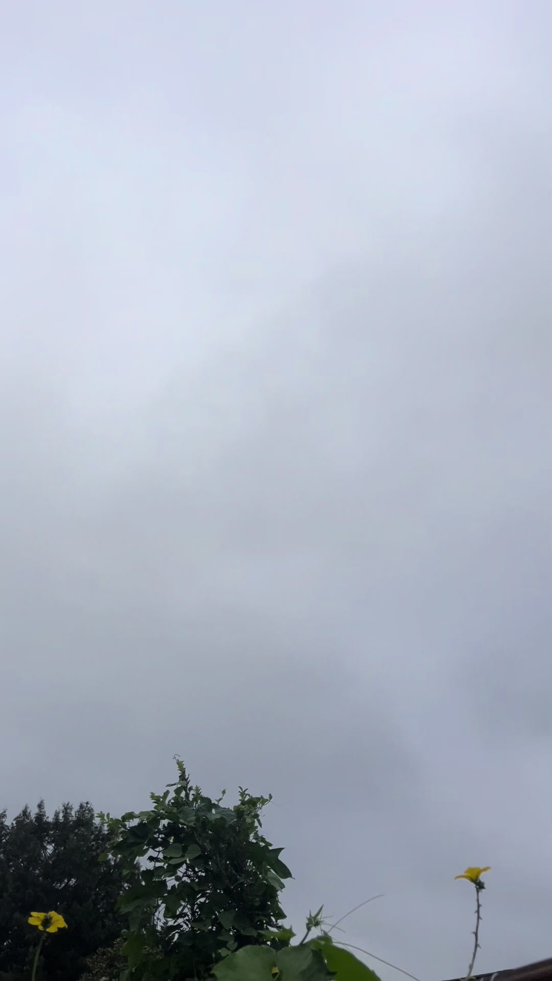 @缥缈客（老武）