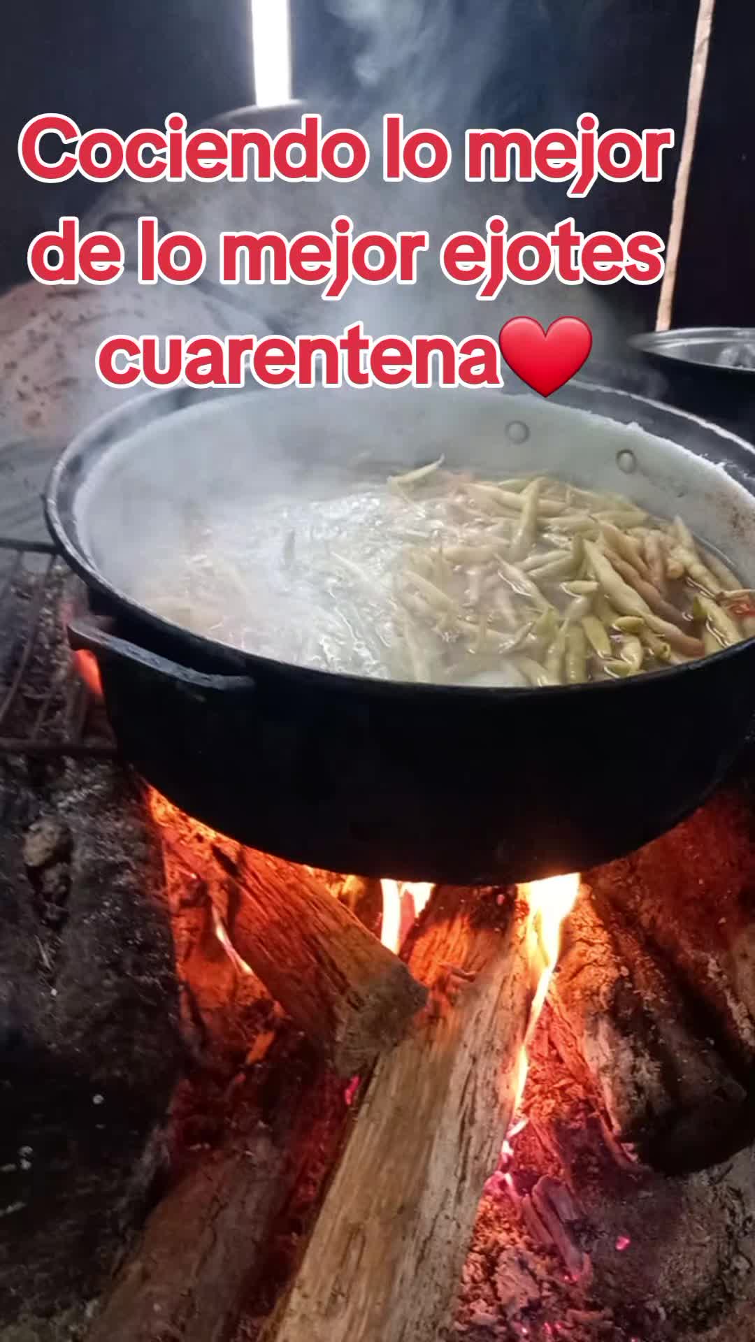 @❤️Anasus ❤️