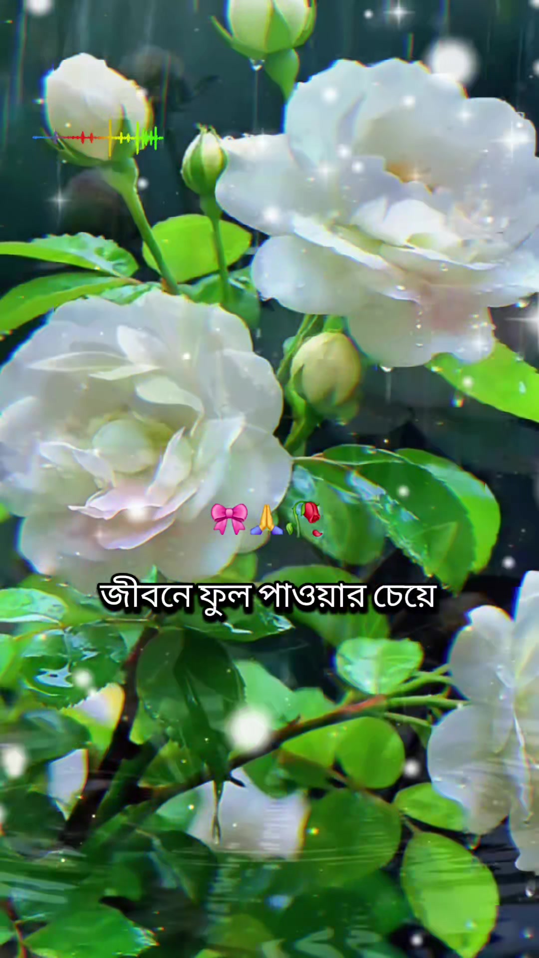 @❤️❤️সৌদি প্রবাসীর মহারানী ❤️❤️