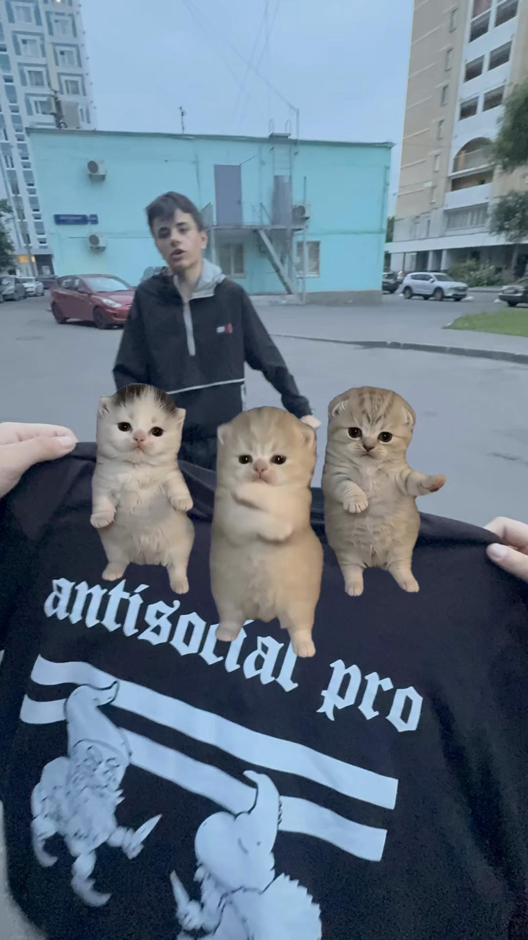 @Кракен|красный беспредел