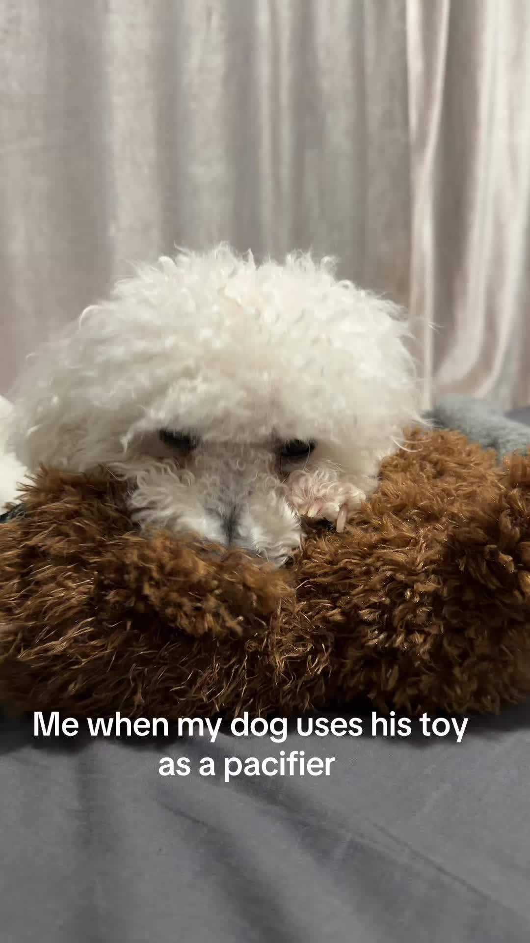 @jos