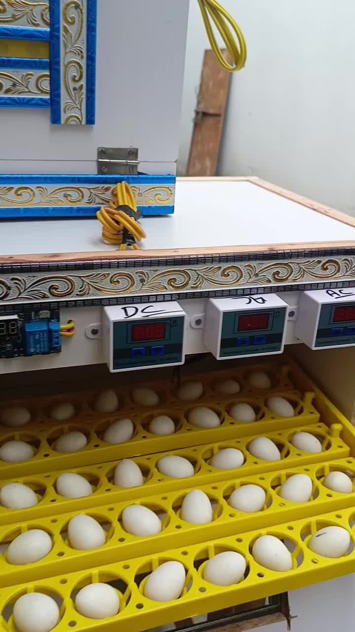 @Hazara Incubators