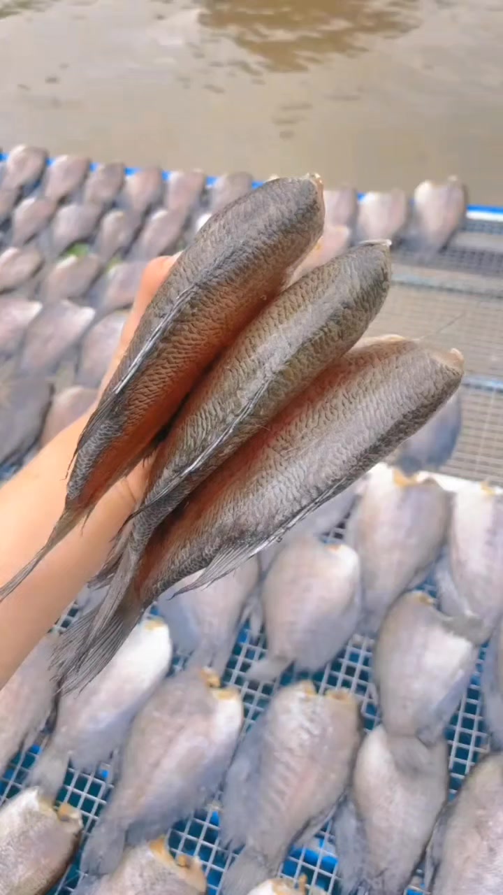 @FB:Quốc Kh&aacute;nh