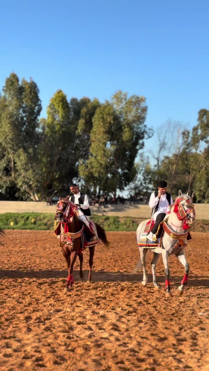 @عزو الجعيدي
