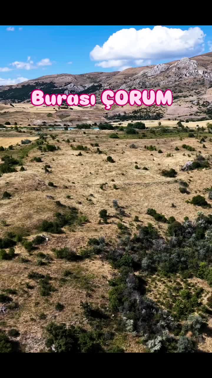 @Avrupadaki_Corumlular_19
