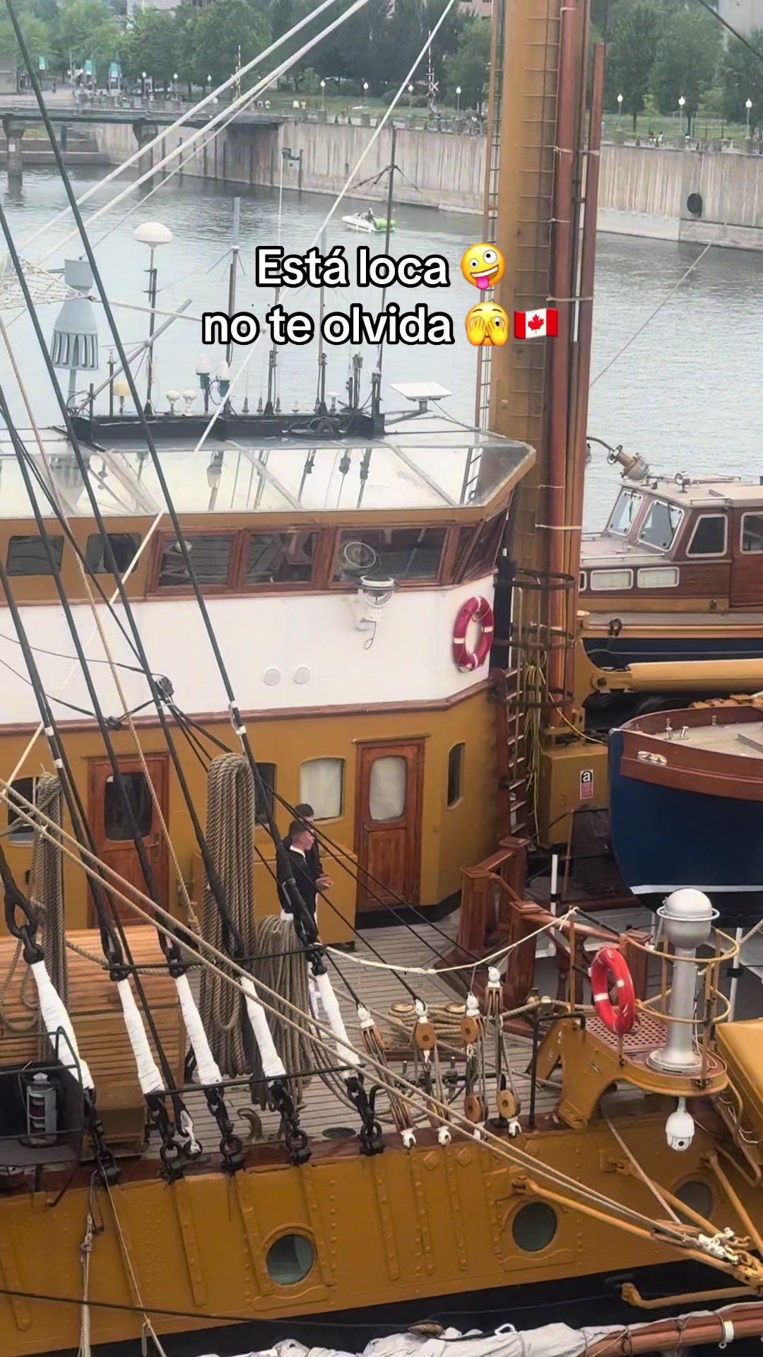 @Lamaracucha_02