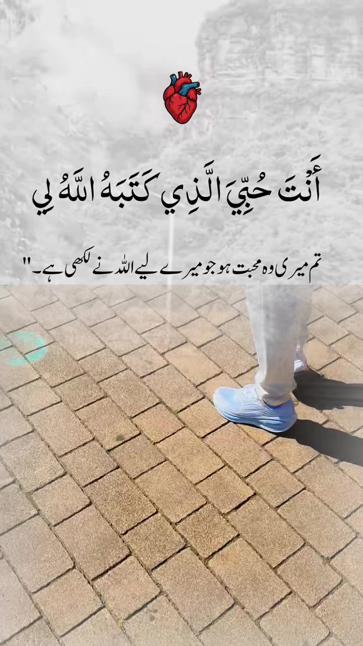 @انت الحیات