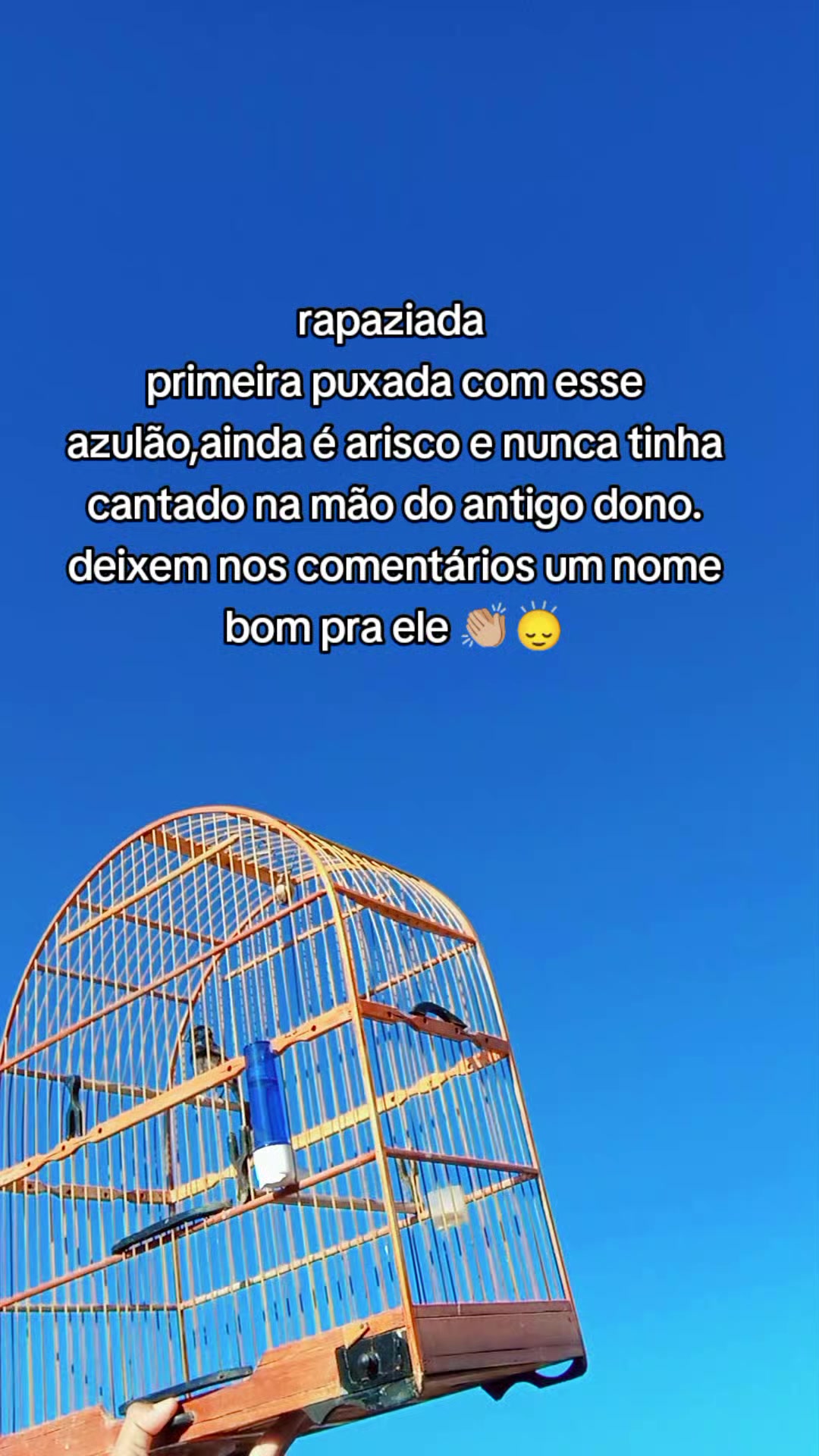 @JR_DO_AZULAOšµ