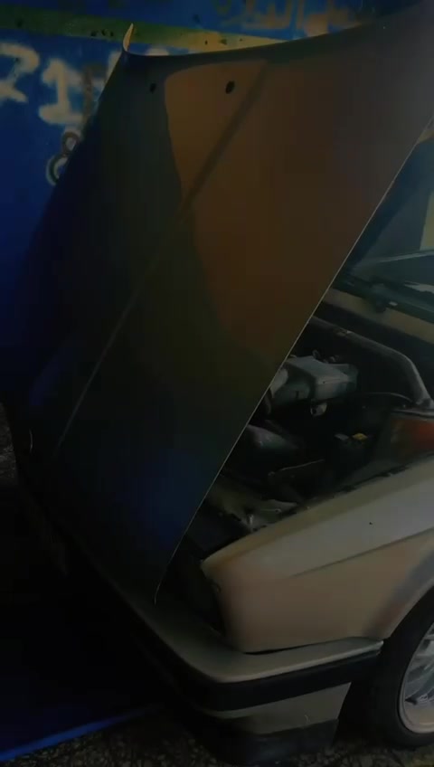 @shalhoub_3