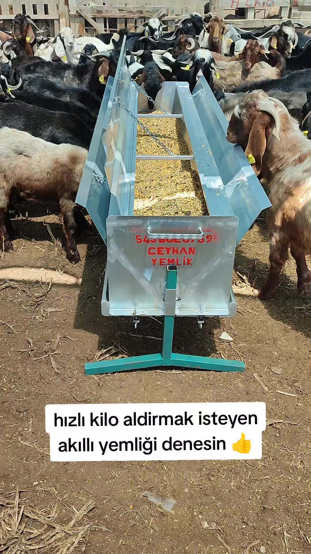 @Ceyhan yemlik
