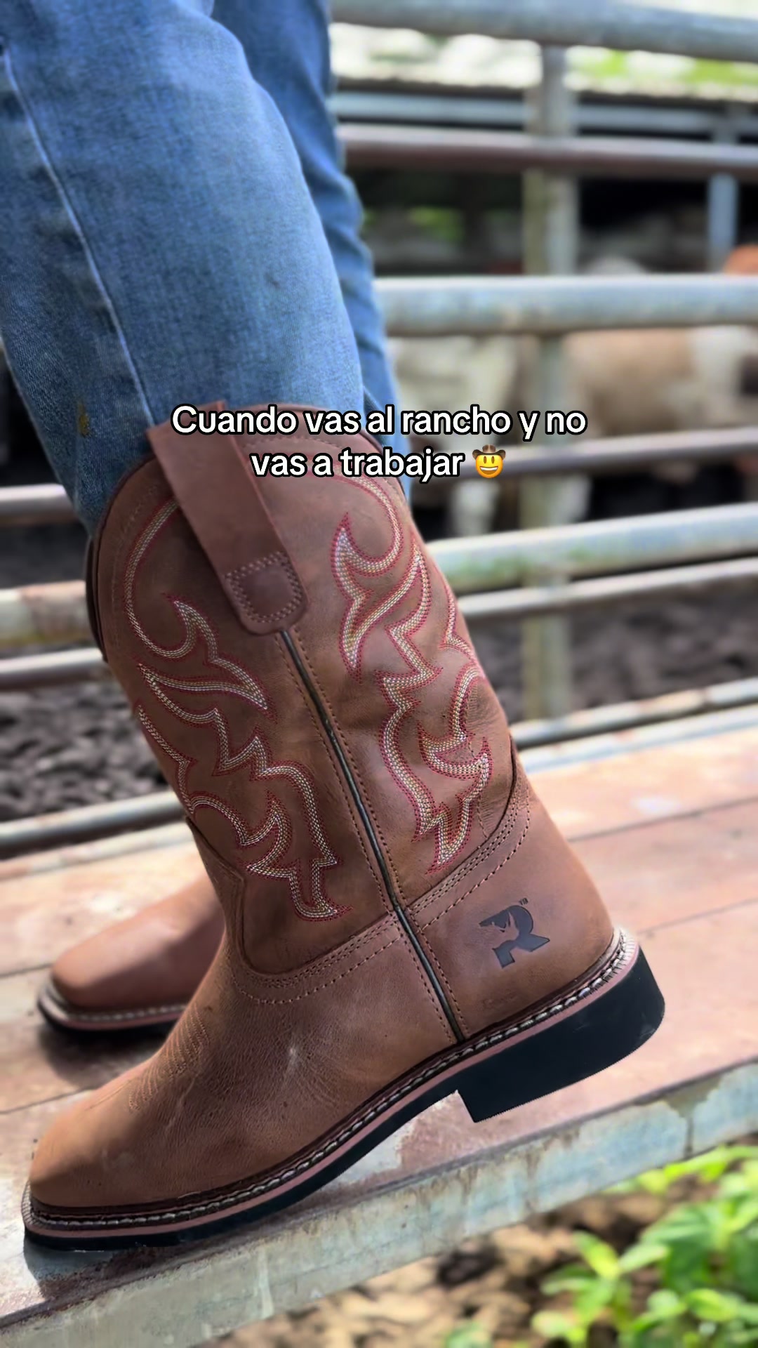 @Venta de Botas RHINO