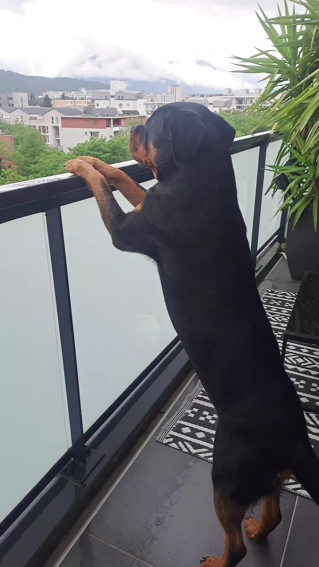@NALA