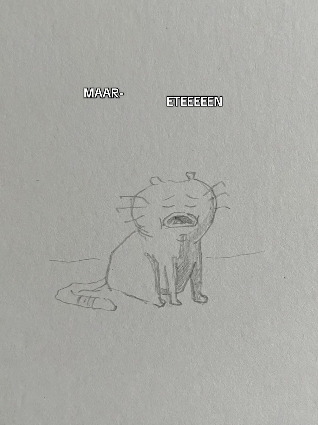 @krabbeljongen