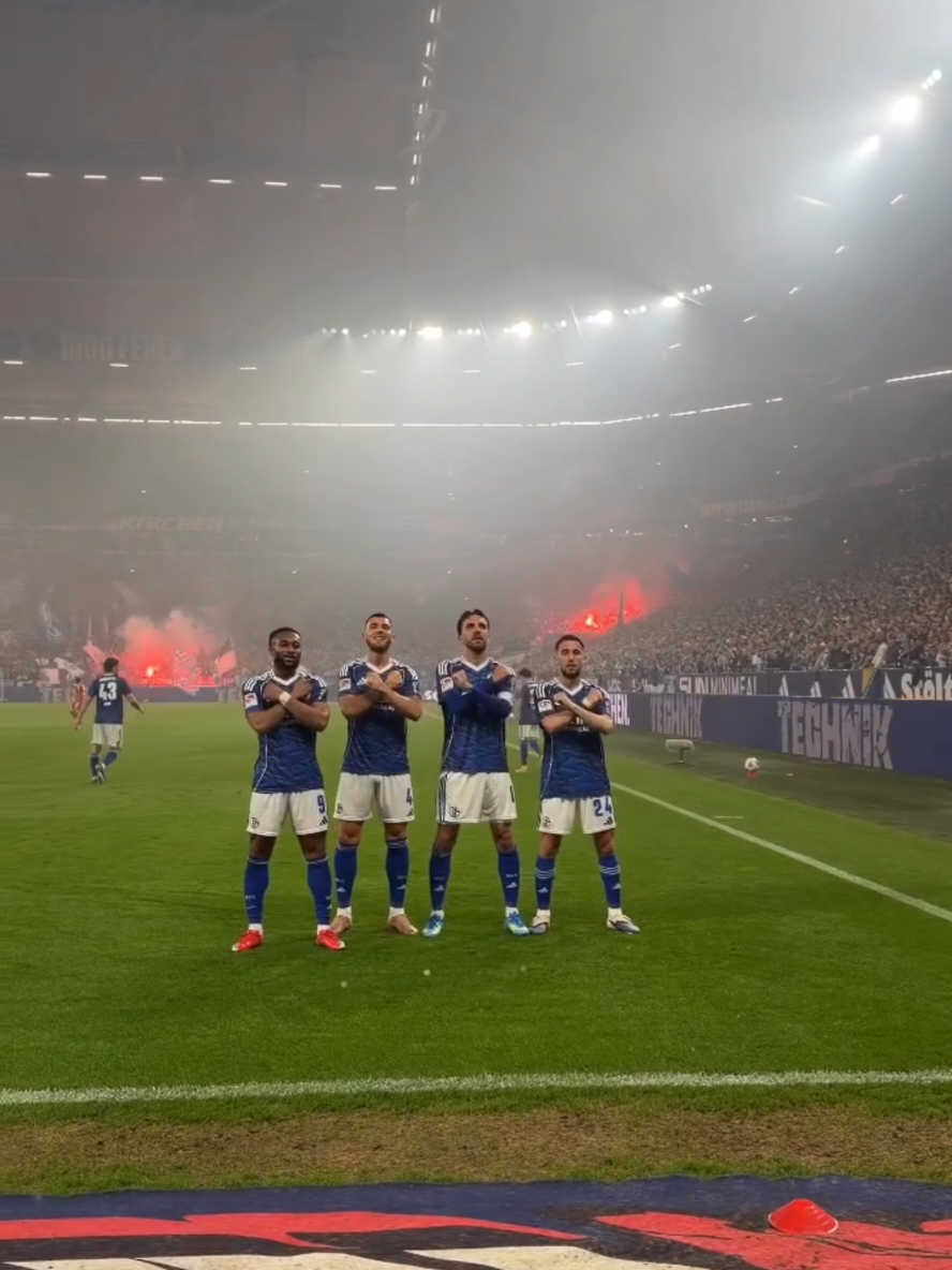 @Schalke.total