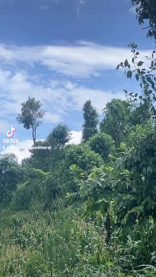 @Anju Pokharel