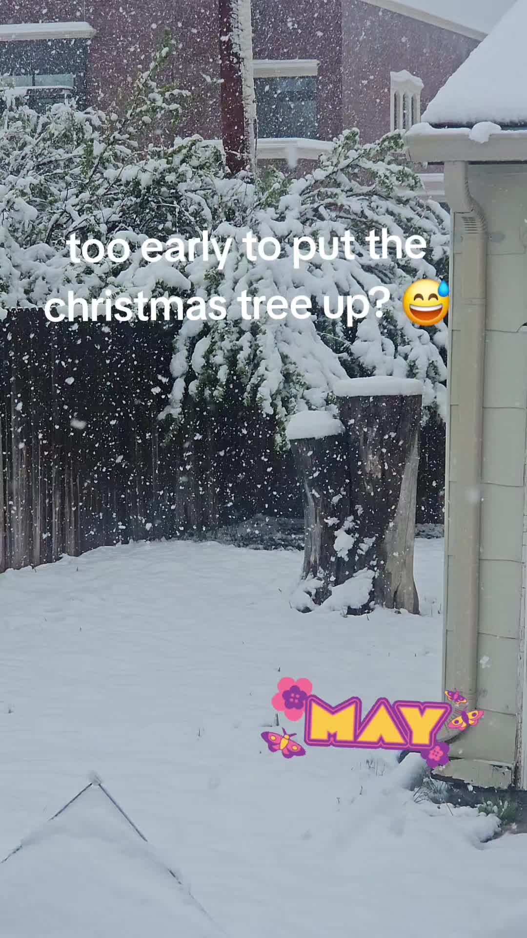@Angelee