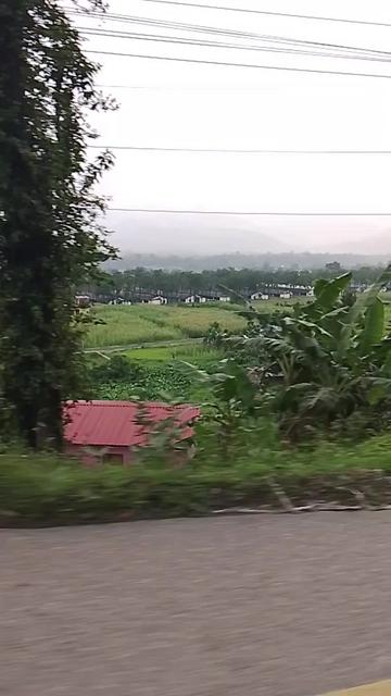 @arjunbaral306