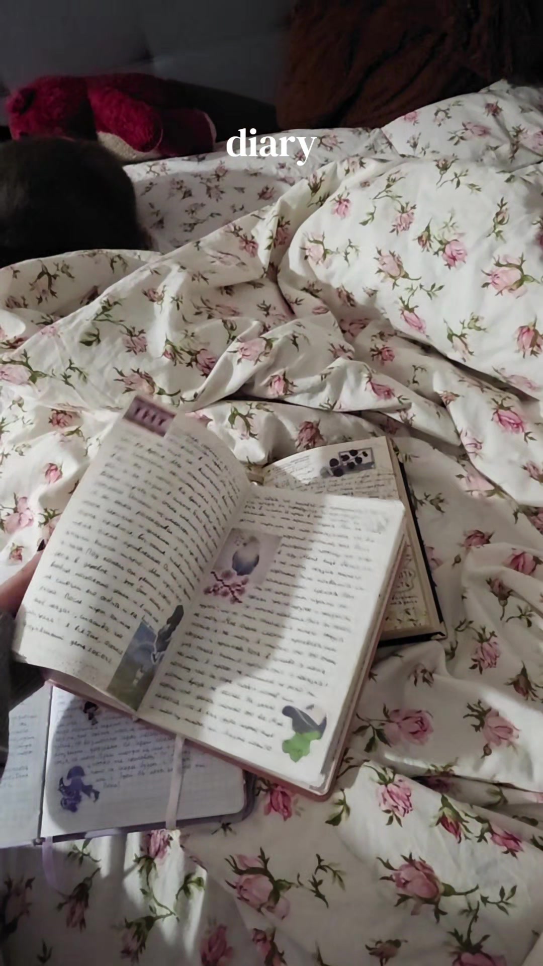 @софик🌪️