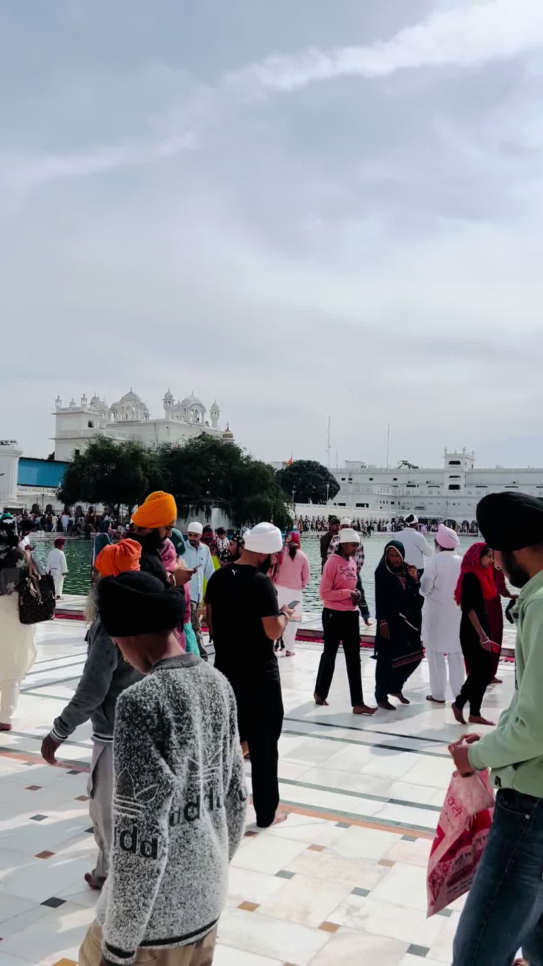 @Raman 🇨🇦