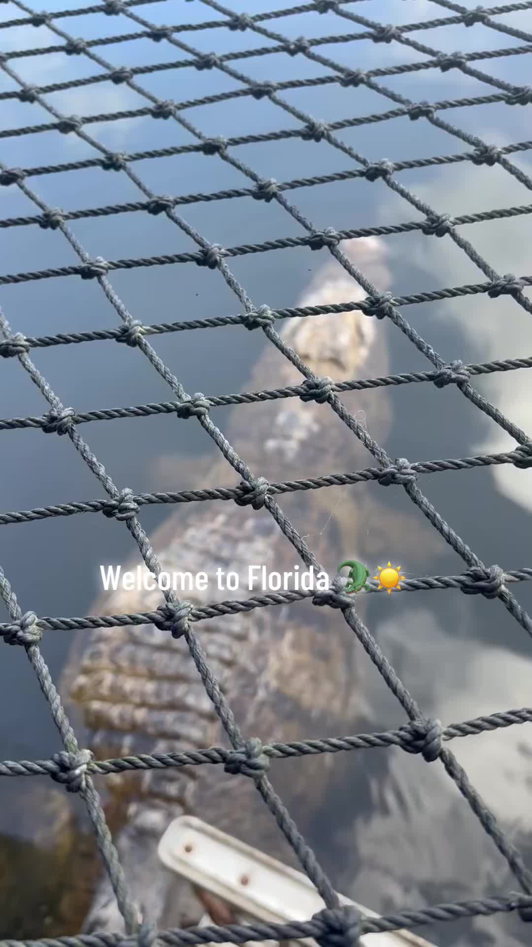 @TayDONTplay