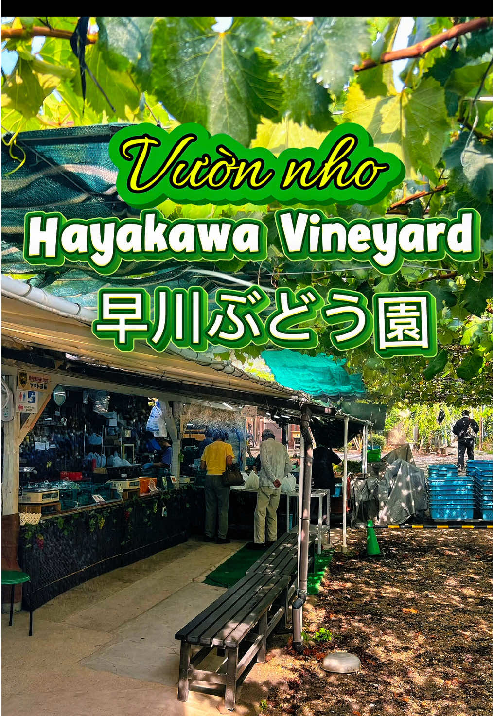 @nguyen thequan